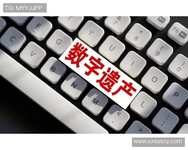 数字遗产的挑战：主播去世后账号与虚拟财产的合理处置探讨